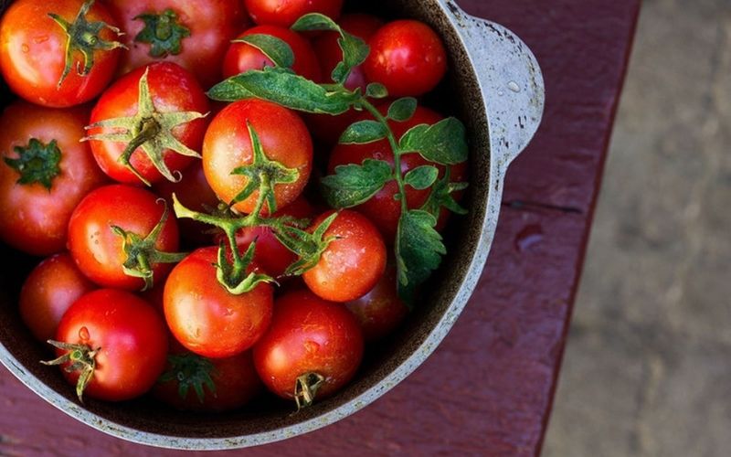 Cà chua là quả gì? Giá trị dinh dưỡng của cà chua 
