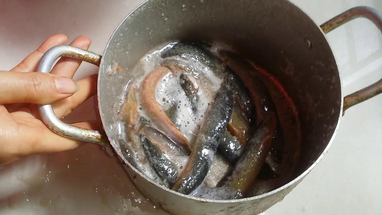 Cách làm cá chạch nấu canh chua