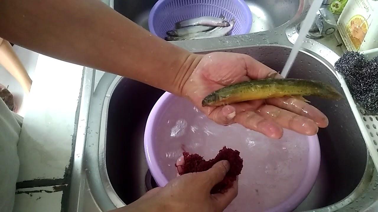 Cách làm cá chạch nấu măng chua